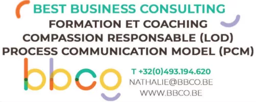 BEST BUSINESS CONSULTING