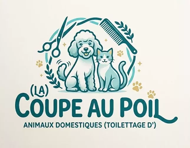 LA COUPE AU POIL