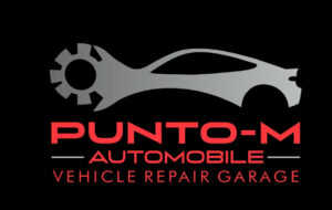 PUNTO AUTOMOBILE