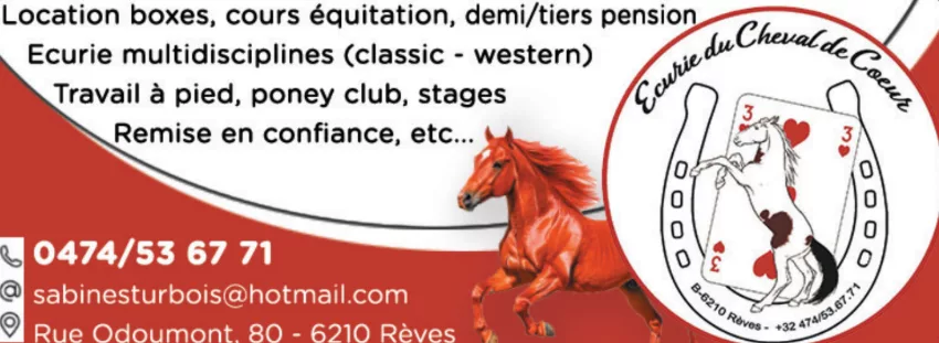 LES ÉCURIES DU CHEVAL DE COEUR