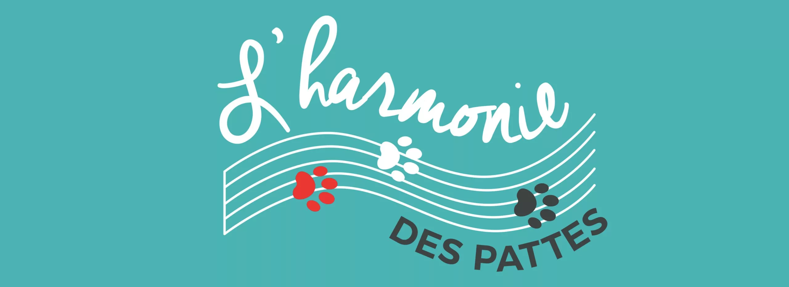 L&rsquo;Harmonie des Pattes
