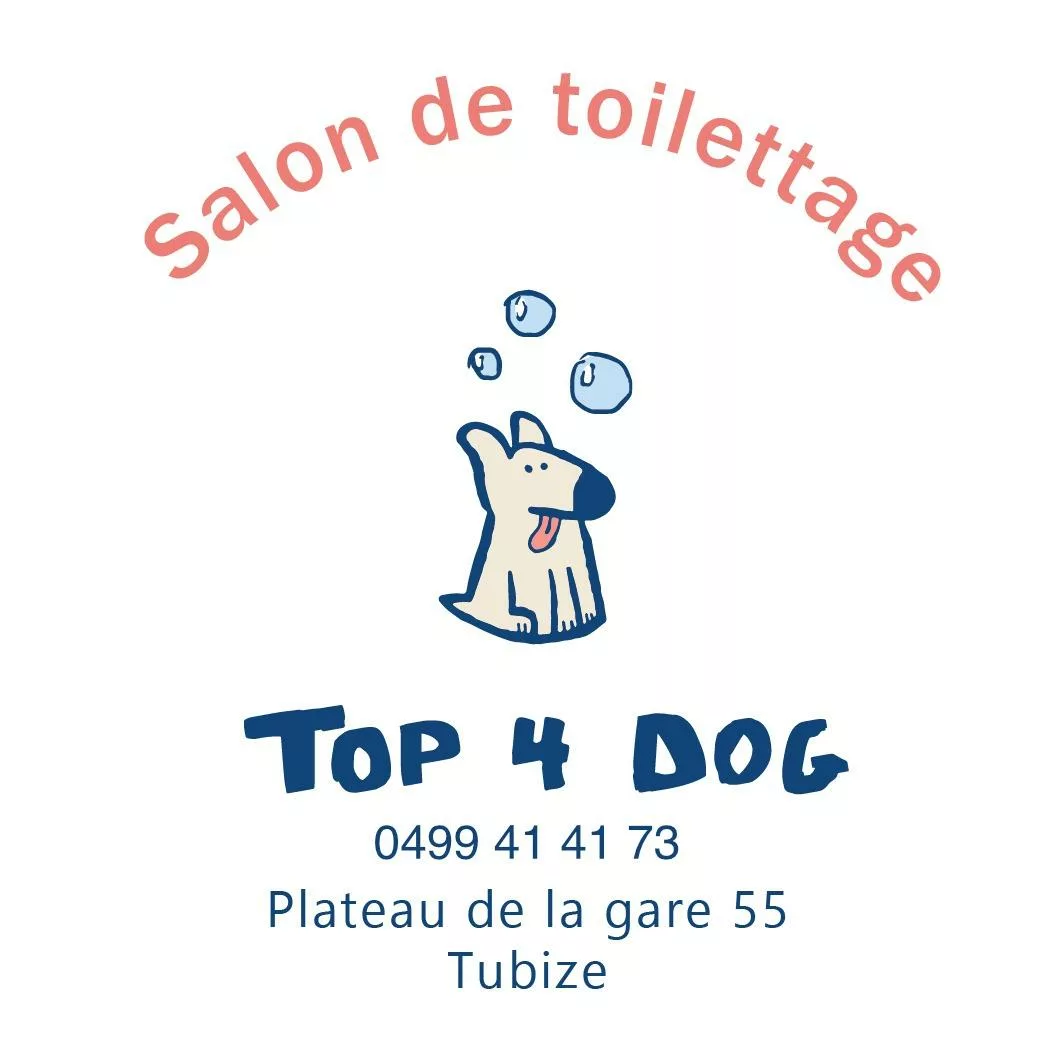 Top 4 dog