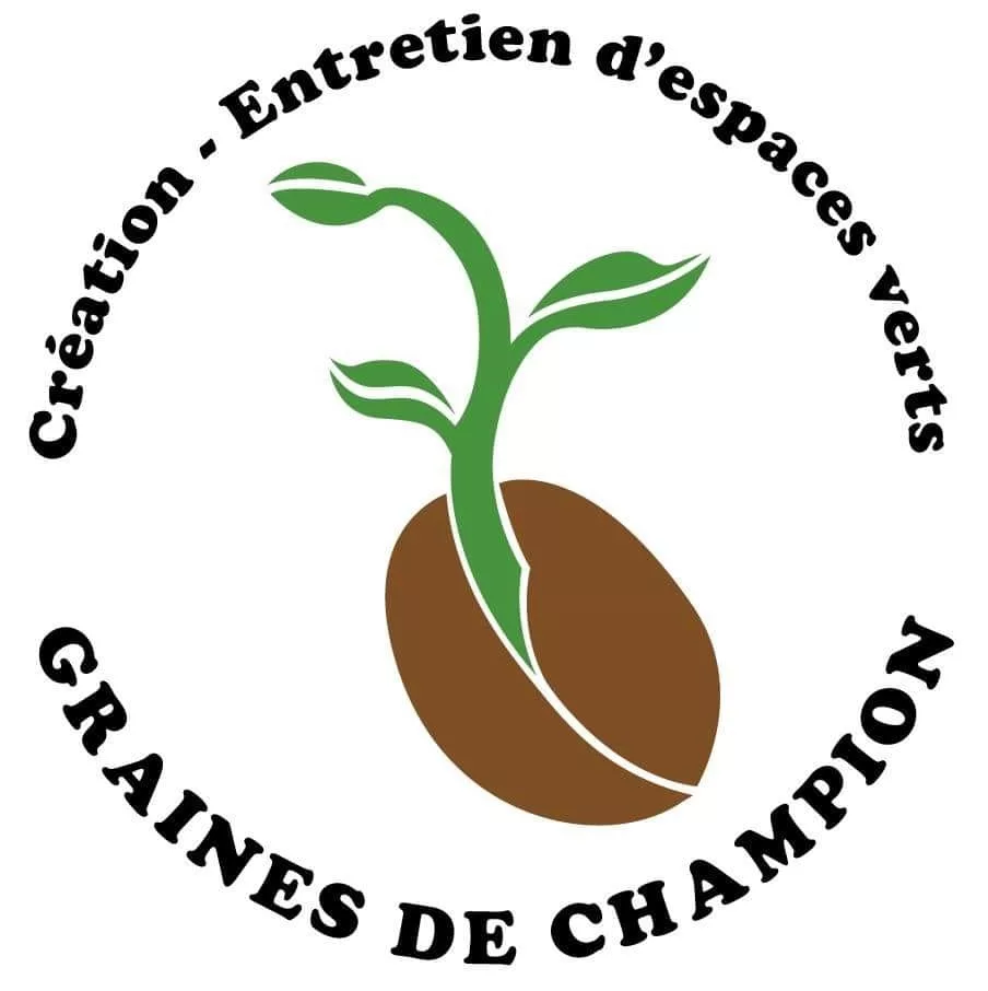 Graines de Champion