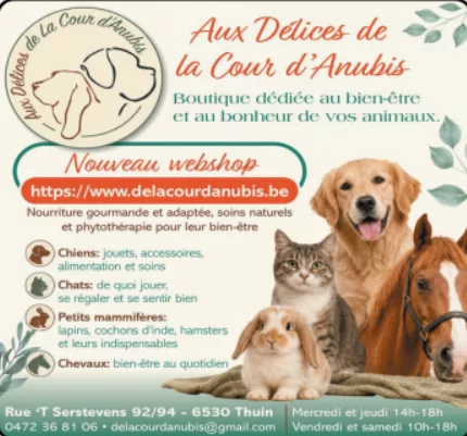 AU DÉLICES DE LA COUR D’ANUBIS